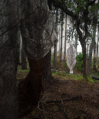 jouzbarosa nostalgia looking back GIF