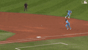 Blue Jays Baseball GIF by Toronto Blue Jays