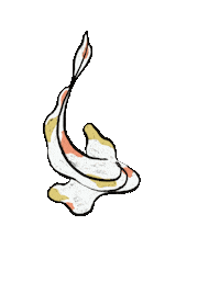 Ying Yang Summer Sticker by elzie