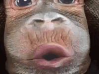 camera blows GIF