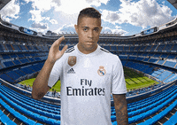 La Liga Football GIF by Real Madrid