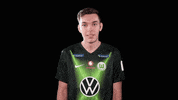 E Sports Sport GIF by VfL Wolfsburg
