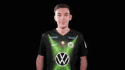 E Sports Sport GIF by VfL Wolfsburg