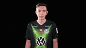 E Sports Sport GIF by VfL Wolfsburg