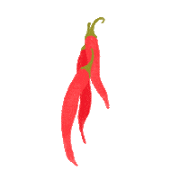 Hot Sauce Pepper Sticker