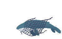 bracenet diving whale wal fishing net Sticker