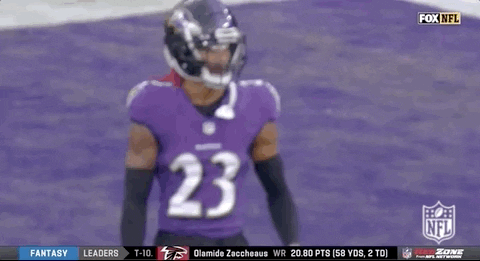 Baltimore Ravens Football GIF by NFL
