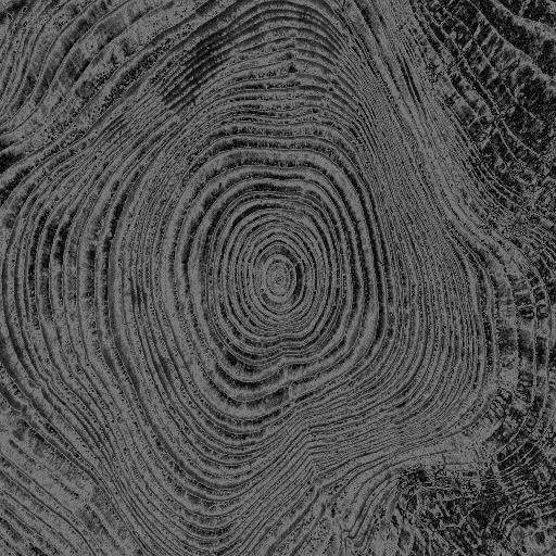 tree zoom GIF by Psyklon