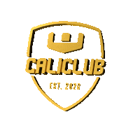 Cali Groningen Sticker by caliclubnl