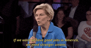 Elizabeth Warren Msnbc GIF