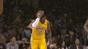 Regular Season Sport GIF by NBA