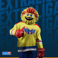 Hockey Motor GIF by Tipsport extraliga