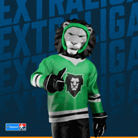 Hockey Hokej GIF by Tipsport extraliga