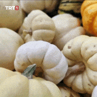 Pumpkin Vegetables GIF by TRT