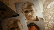 michael scofield fox GIF by Prison Break