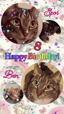 janellegiese giphyattribution happy birthday GIF