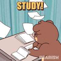 Studying Teddy Bear GIF by BEARISH