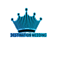 Best Music Djs Sticker by Viparties