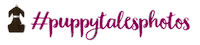Love Dogs Photography Sticker by puppytales