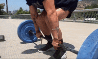 ORXfit fitness training lift straps GIF