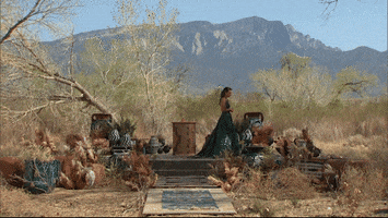 Abc GIF by The Bachelorette