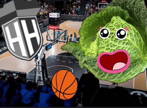 Basketball Hamburg GIF