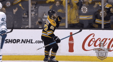 ice hockey kiss GIF by NHL