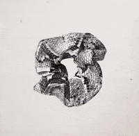 Zenchies  GIF