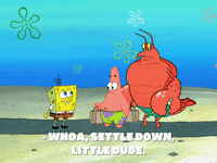 season 7 episode 23 GIF by SpongeBob SquarePants