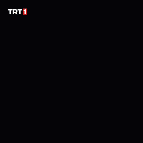 Soldier Asker GIF by TRT