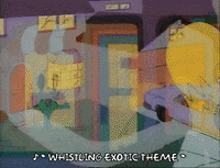 Season 1 Episode 10 GIF by The Simpsons