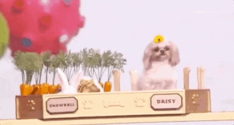 GIF by Kids' Choice Awards 2019