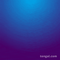 Film Creator GIF by Tongal