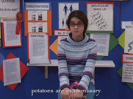 season 6 netflix GIF by Gilmore Girls 