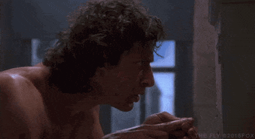jeff goldblum GIF by foxhorror