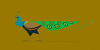 dennismoore art design india bird GIF