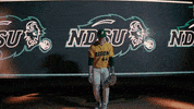 Ndsu Baseball GIF by NDSU Athletics