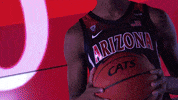 Arizona Wildcats GIF by Arizona Men's Basketball