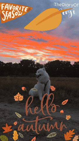 Red Cloud Summer GIF