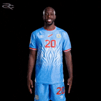 Fifa World Cup Leopards GIF by Respective