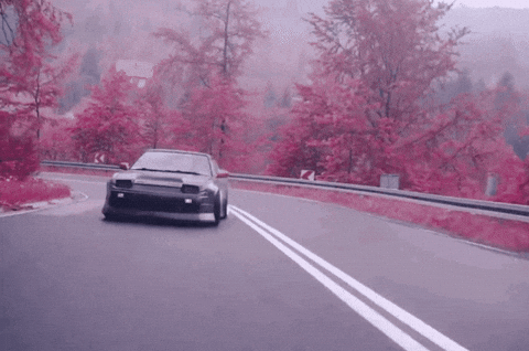 ARZZiO wow cool nature red GIF