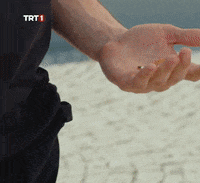 Wedding Ring GIF by TRT