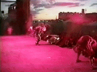 Concert Rocking Out GIF by Rob Zombie