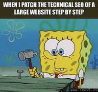 seowl_app seo seowl GIF