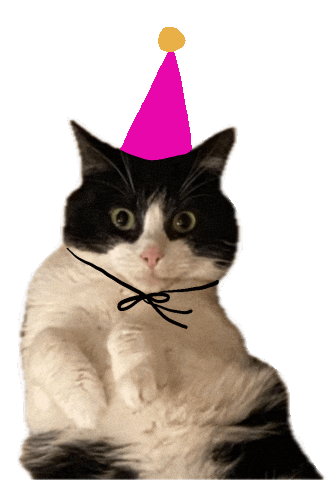 Party Cat Sticker