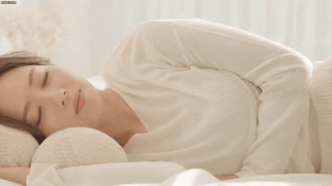 seotor_7 giphyupload GIF
