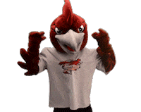 Mascot Rcnj Sticker by Ramapo College of New Jersey