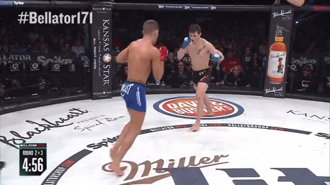 GIF by Bellator