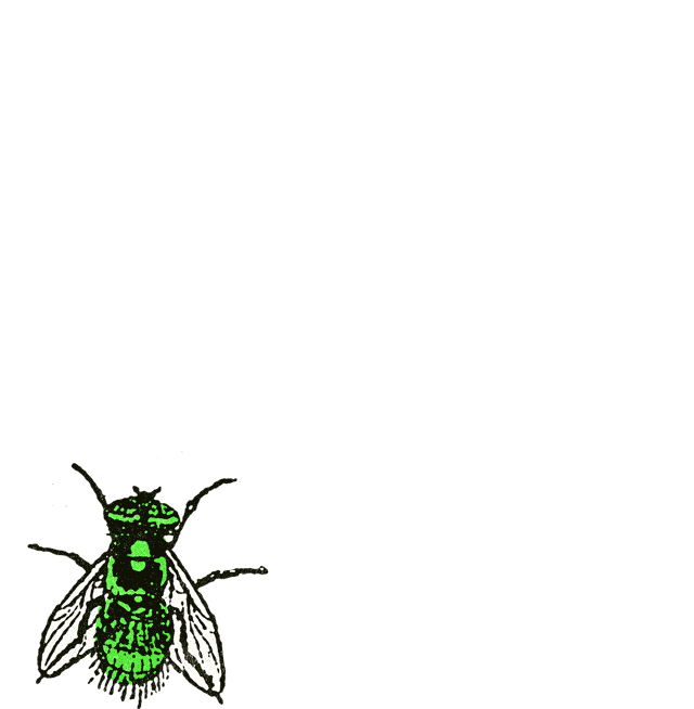 Bbc Fly Sticker by Greenway Records