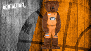 The Bear Mascot GIF by Basket_fi